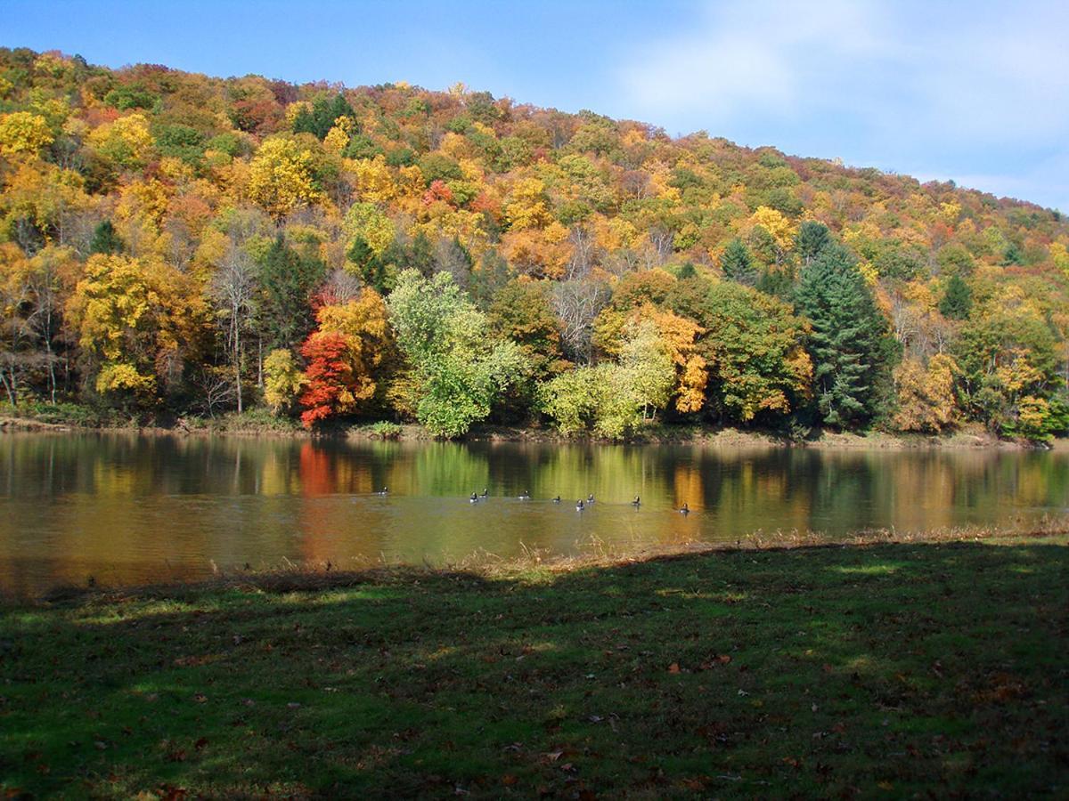 Spacious Home With Deck, Grill And Delaware River View Callicoon Bagian luar foto